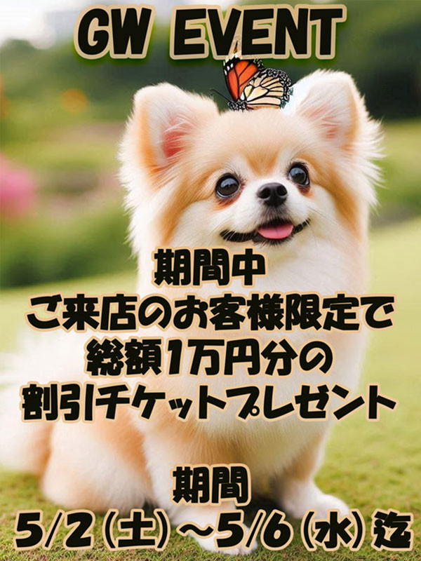 ゴールデンウイークイベント情報